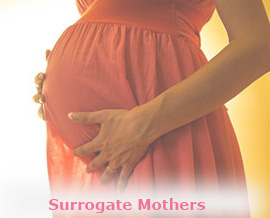 surrogate-mothers