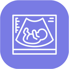 establishing pregnancy icon