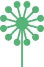 dandelion icon
