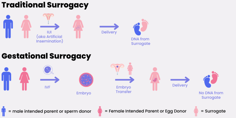 Does a surrogate mother share DNA with the baby? Surrogate Steps® Does a surrogate mother share DNA with the baby? Surrogate Steps®